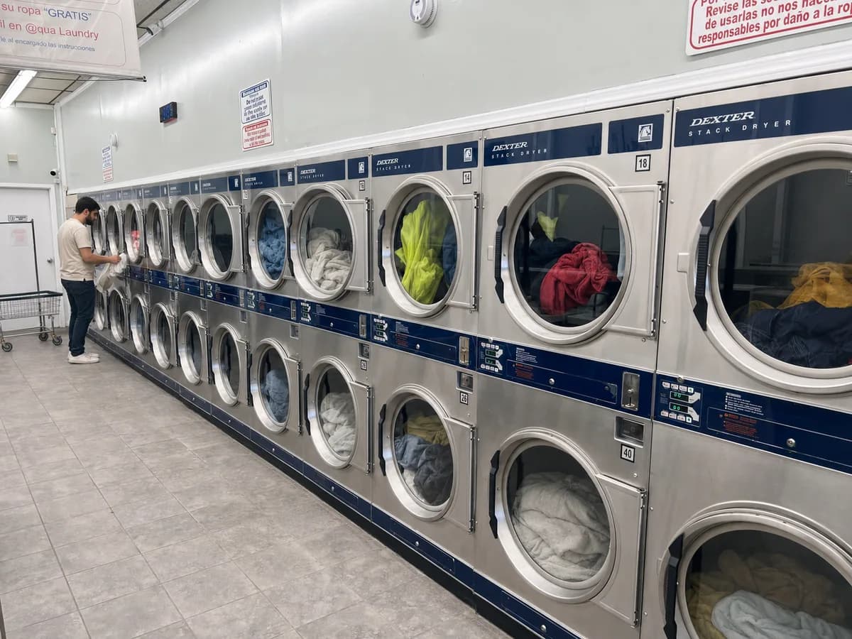 Wall of stacked Dexter dryers running full loads inside Aqualaundry & Dry Cleaning
